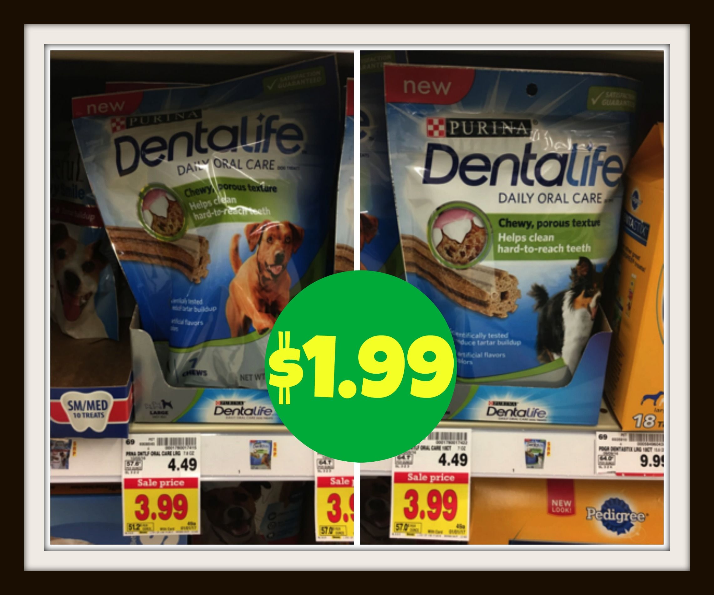 purina-dentalife-image