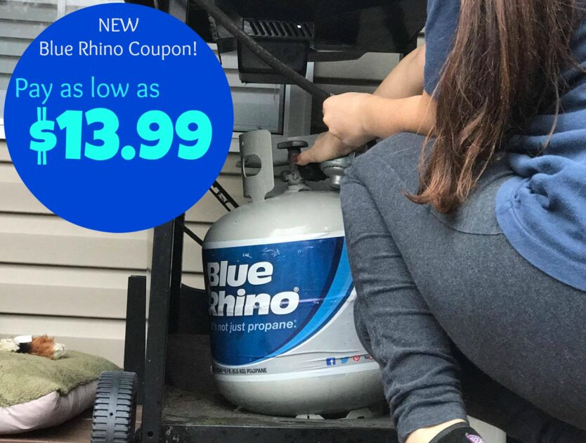 NEW 3 00 Blue Rhino Propane Coupon 3 00 Mail in Rebate pay Just 13 99 Kroger Krazy
