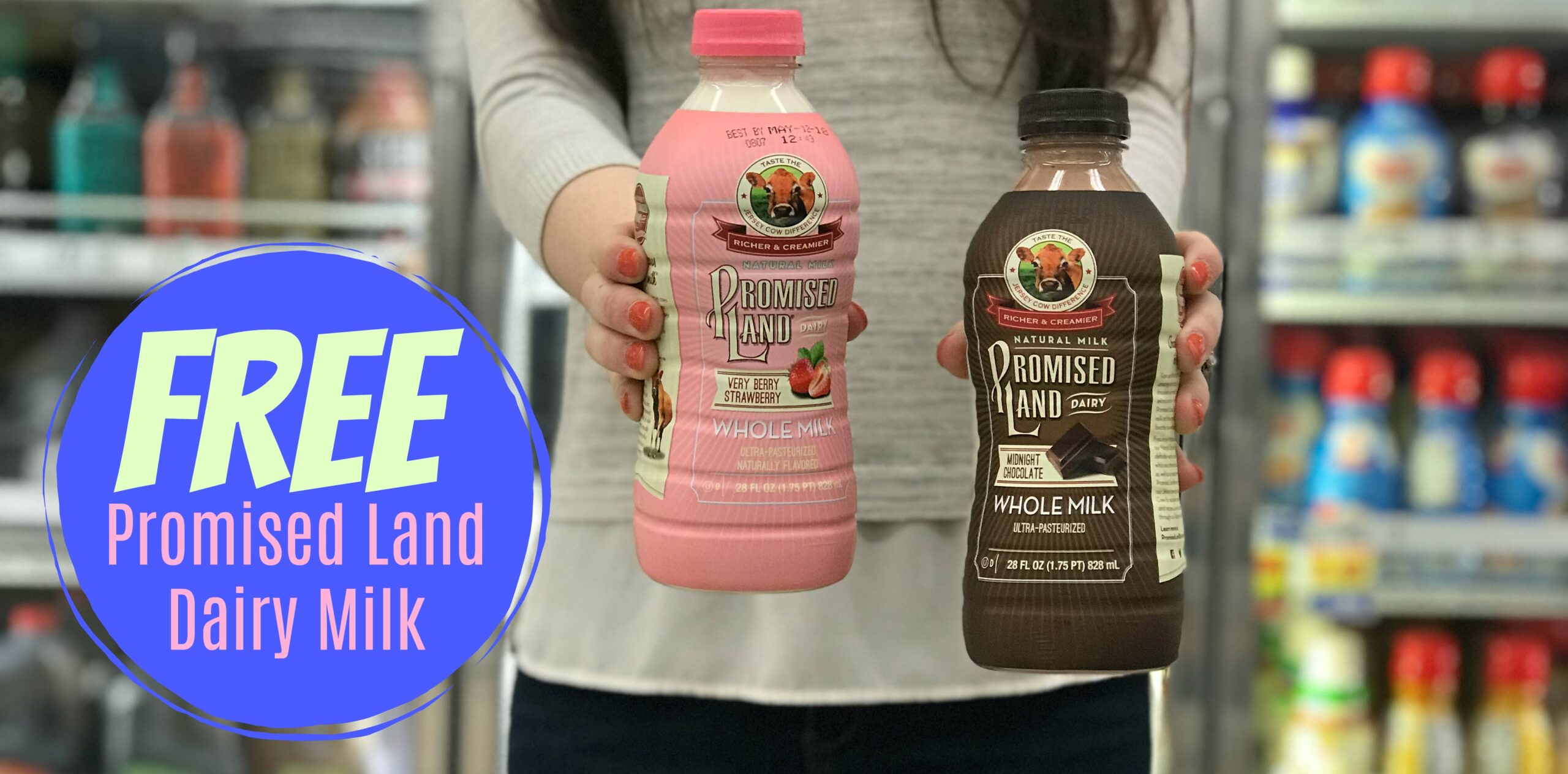 FREE Promised Land® Dairy Milk at Kroger (Reg 2.69)! Kroger Krazy