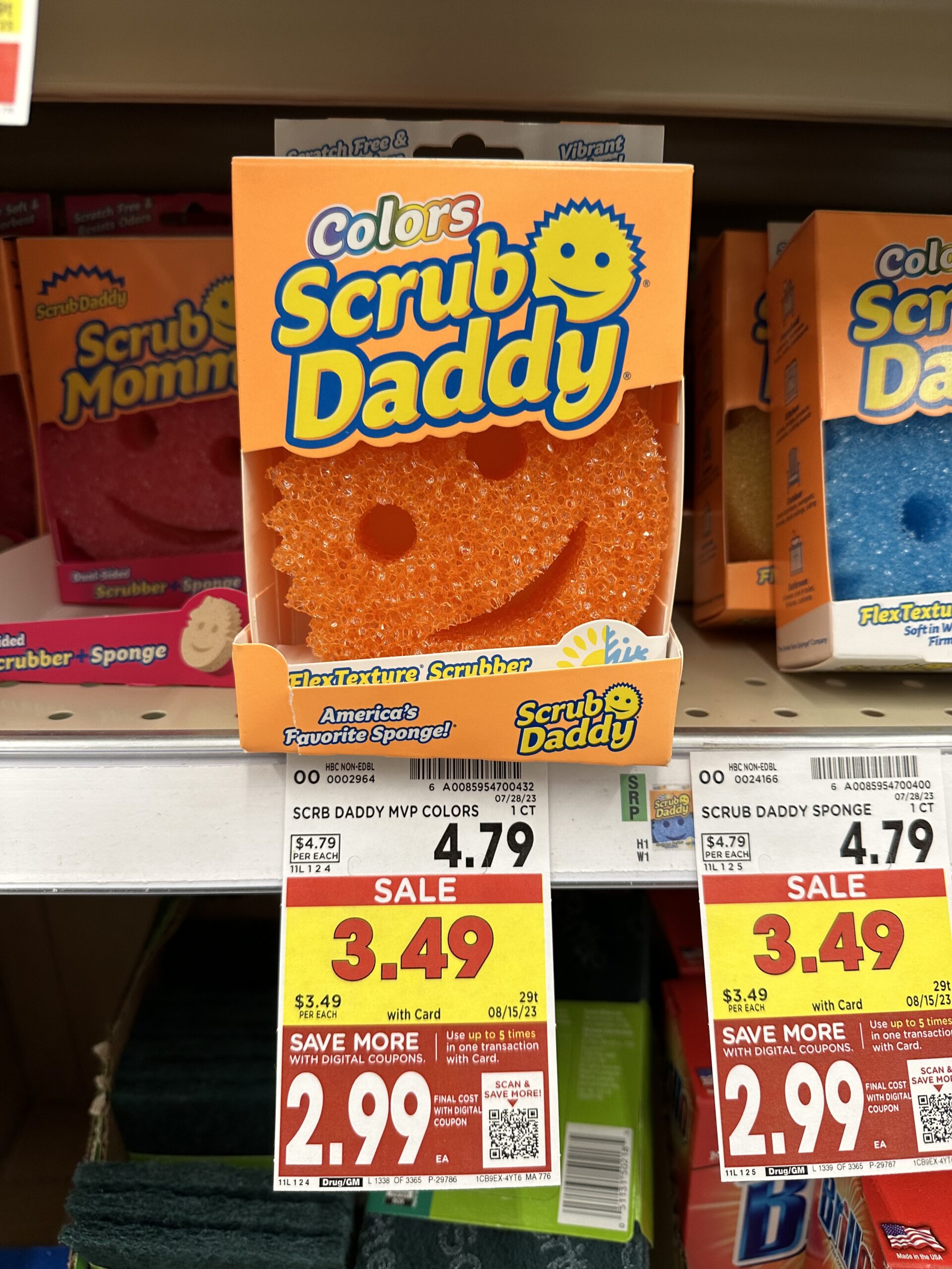 Sponge Daddy (4ct)
