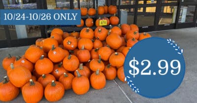 Carving Pumpkin 3 day sale kroger krazy