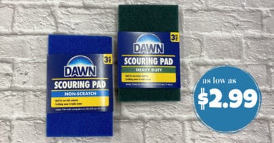 dawn scouring pads kroger krazy