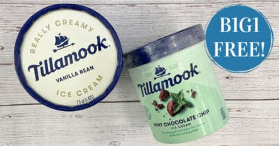 tillamook ice cream kroger krazy 1