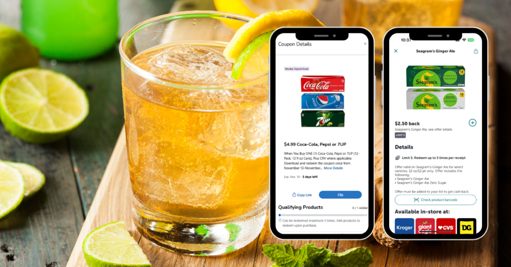 Seagram's Ginger Ale digital ib